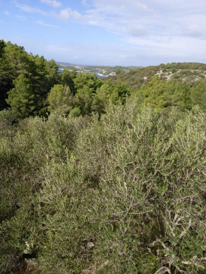 Svema Apartman Vela Luka Εξωτερικό φωτογραφία